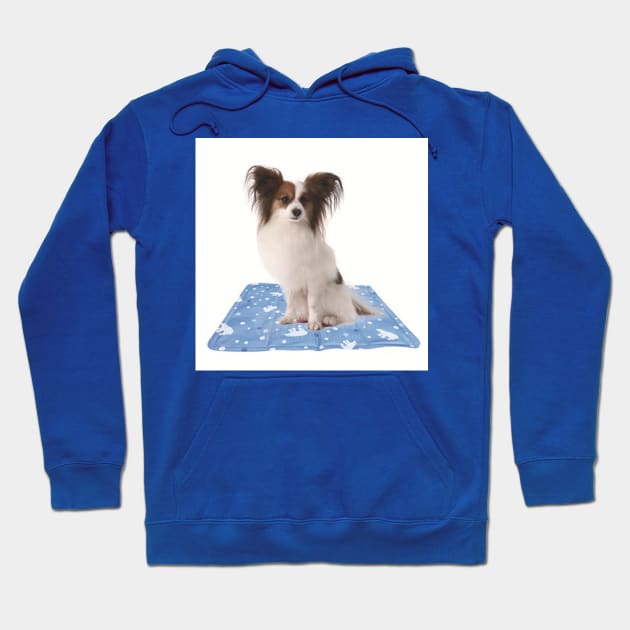 Chien Hoodie by windowsneuf